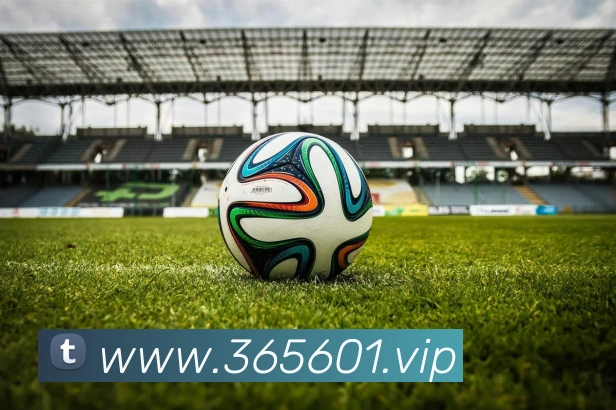 bet365平台生态图